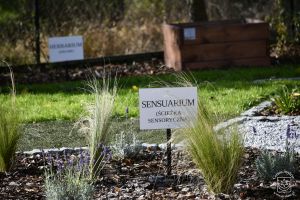 Otwarcie ogrodu dydaktycznego Horti Litwosa w Szkole Podstawowej im. Henryka Sienkiewicza w Niesułkowie