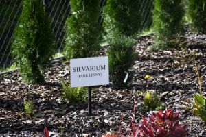 Otwarcie ogrodu dydaktycznego Horti Litwosa w Szkole Podstawowej im. Henryka Sienkiewicza w Niesułkowie