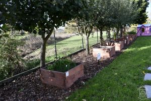 Otwarcie ogrodu dydaktycznego Horti Litwosa w Szkole Podstawowej im. Henryka Sienkiewicza w Niesułkowie