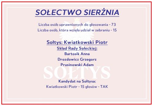 Wyniki w Sierżni