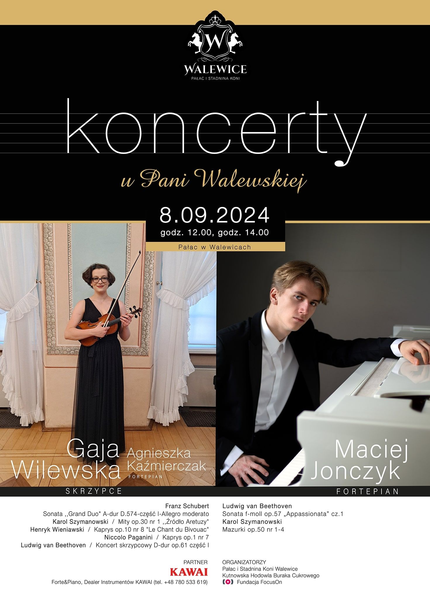 Koncert u Pani Walewskiej