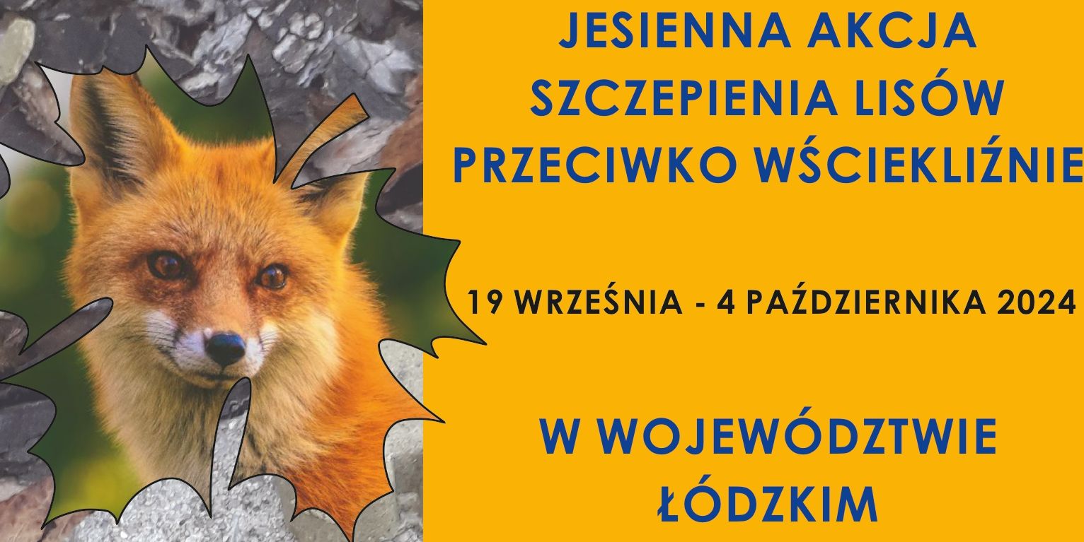 Szczepienie lisów - akcja jesienna 2024